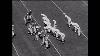 Aafc Cleveland Browns At Buffalo Bills 9 5 1949